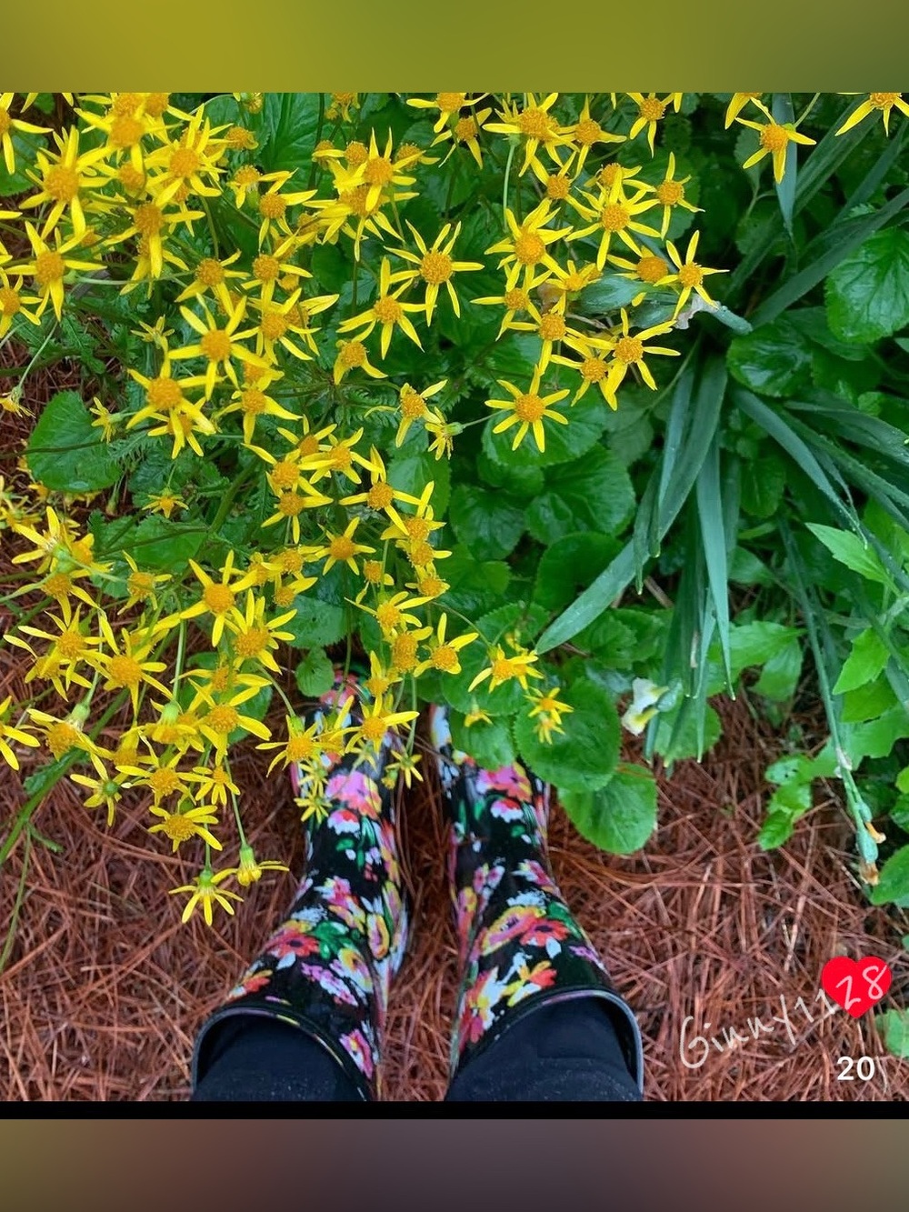 Roma Black Floral Women's Rain Boots